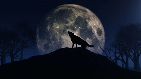 Wolf Moon Eclipse 2020 | Mental Floss