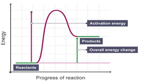 10+ Endothermic Energy Diagram | Robhosking Diagram