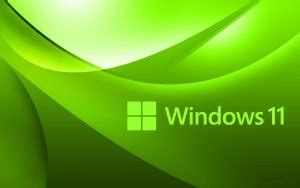Abstract Dark Green Background for Windows 11 Wallpaper - HD Wallpapers | Wallpapers Download ...