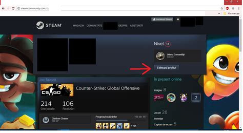 Steam – How to Steam Inventory items be shown from a private profile – Love & Improve Life