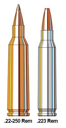 22-250 vs 223 Cartridge Ballistics Performance Comparison | Sportsman's Warehouse