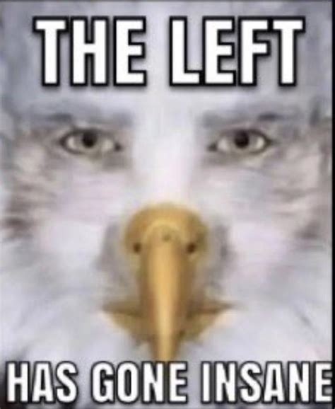 The Left Has Gone Insane | Staring Eagle / Marvin Beak | Know Your Meme