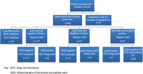 Flow chart for patients with cellulitis investigated for DVT. | Download Scientific Diagram