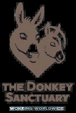 The Donkey Sanctuary, Sidmouth, England - VisaHelpUK - UK Immigration and Visa Application ...