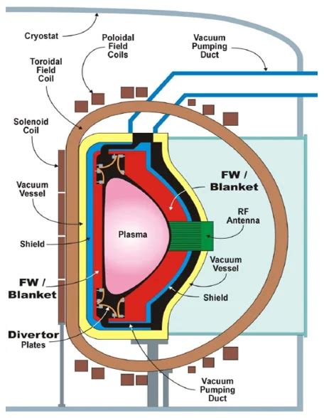 Tokamak Fusion Reactors