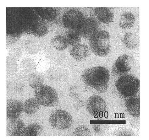 Polyacrylic acid nano-gel microspheres, preparation method and application thereof - Eureka ...