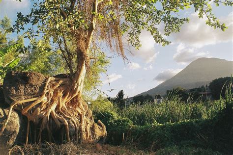 BALANCE IN NATURE