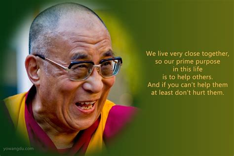 Quotations from His Holiness the Dalai Lama | Citation dalai lama, Bouddhisme, Dalai lama