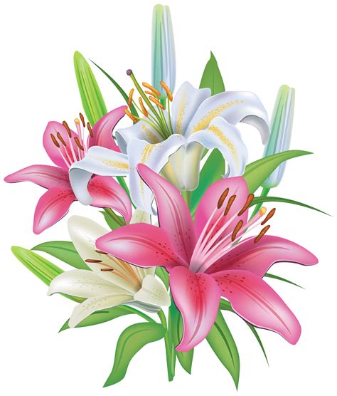 Free Lily Bouquet Cliparts, Download Free Lily Bouquet Cliparts png images, Free ClipArts on ...