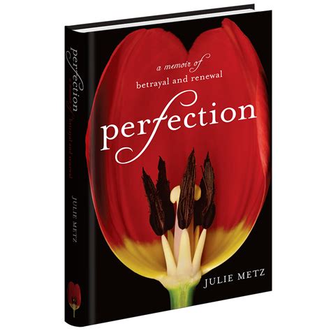 Perfection - Julie Metz