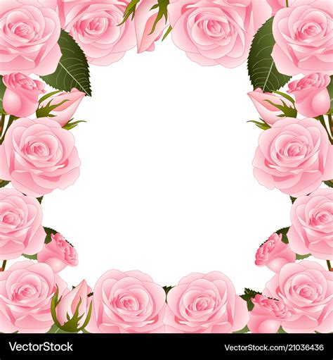 Pink Rose Border