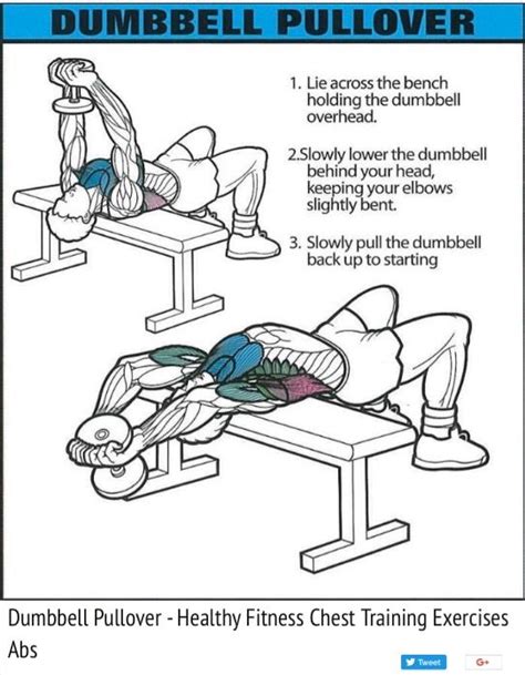 Dumbbell pullover is a great chest exercise. You feel a real stretch ...