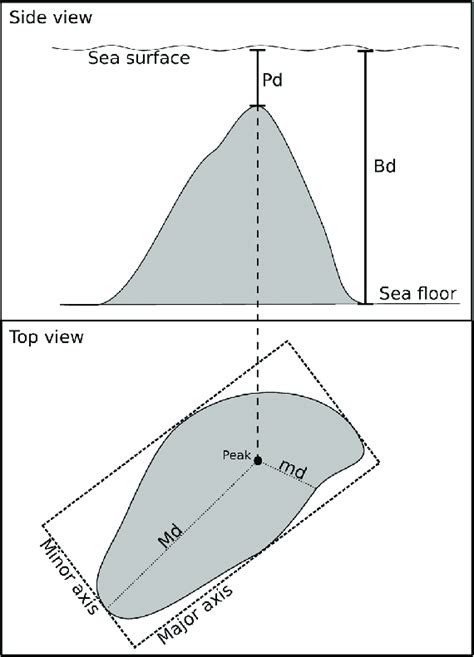 Main physiographic characteristics of seamounts. | Download Scientific Diagram