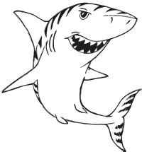 Shark Drawing Pictures at GetDrawings | Free download