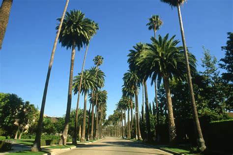 Top Things to Do in Beverly Hills, California