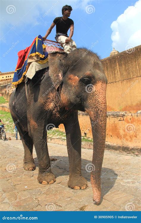 Elephant Ride in the Amber Fort. Editorial Image - Image of riders, person: 30905905