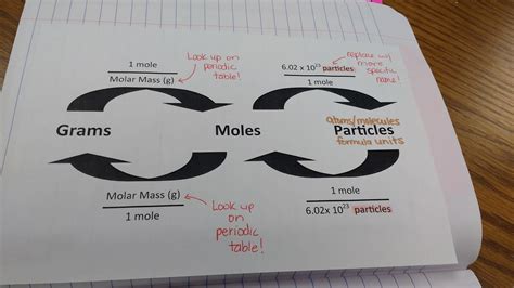 Mole Map | Math = Love