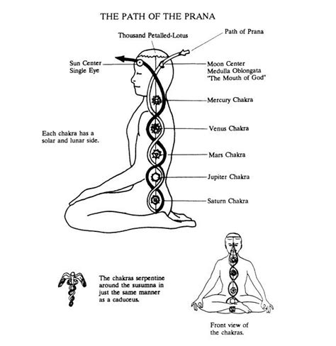 the path of prana - chakra page from The Spiritual Science of Kriya ...