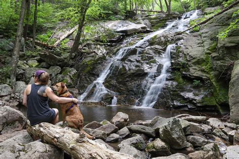 Black Rock Forest - Scenic Hudson