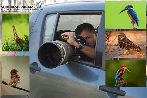 Bird Photography Tips - Getting Close to Birds - Technology Share