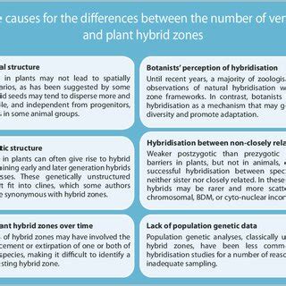 Causes for the few reported hybrid zones in plants compared to ...