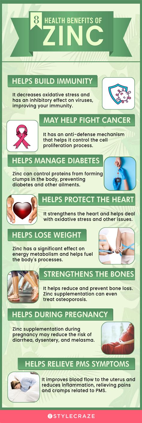 Zinc Benefits For Your Health And Top 7 Zinc Rich Foo - vrogue.co