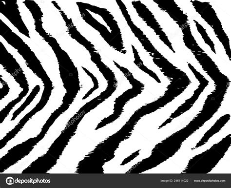 Tiger Stripe Texture Black White Monochrome Pattern Stock Vector Image by ©Dorolka #246114022