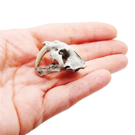 Saber Tooth Tiger Skull Replica 1:12 Scale Artisan Dollhouse Miniatures - Bone | #4557314753