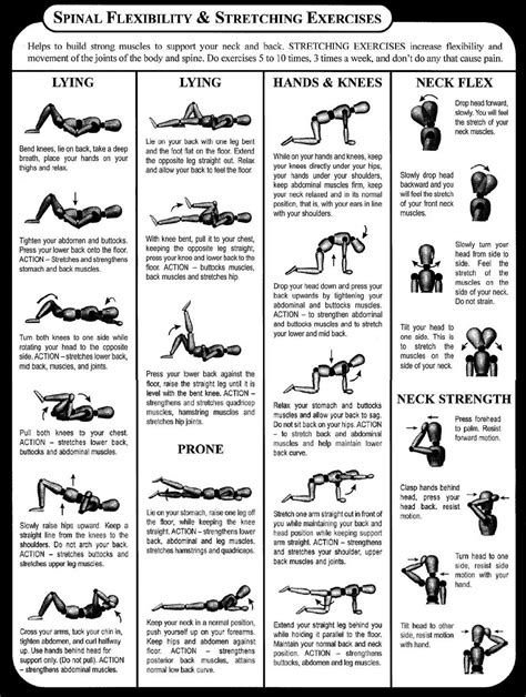 Neck Stretching Exercises Pdf | amulette