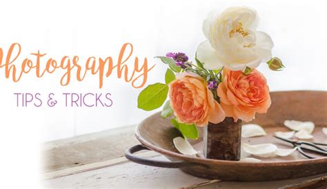 Photography Tips and Tricks