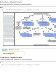 Evolution Concept Map Worksheet