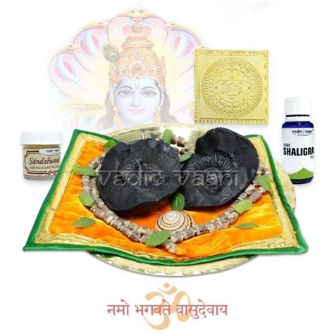 Shaligram Vaikuntha Shila Sadhana Puja Set | Indian paintings, Vishnu ...