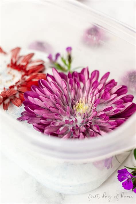 How to Use Silica Gel for Drying Flowers: Complete Guide