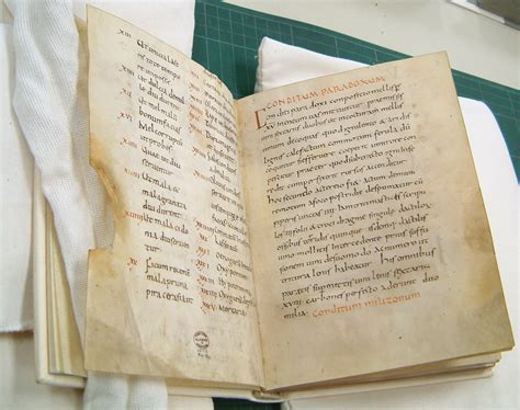 Apicius's De Re Coquinaria, the Earliest Surviving Cookbook : History ...
