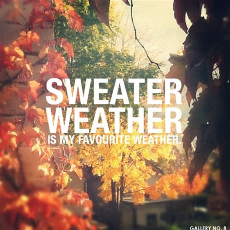 Sweater Weather Pictures, Photos, and Images for Facebook, Tumblr, Pinterest, and Twitter