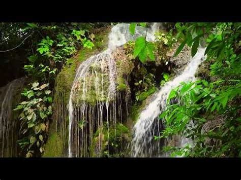 Peaceful Waterfall Sounds in the Forest. Nature white noise. 10 hours ...