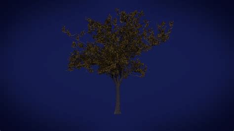 More Trees - Finished Projects - Blender Artists Community