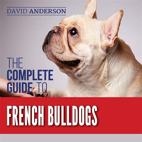 Buy The Complete Guide to French Bulldogs: Everything You Need to Know ...