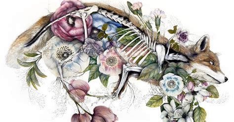 Mimesis: New Anatomical Paintings Depicting Flora and Fauna by Nunzio ...