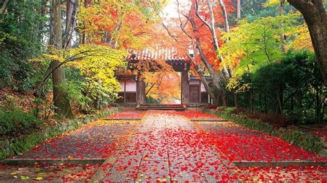 Autumn Japan Wallpapers - Wallpaper Cave