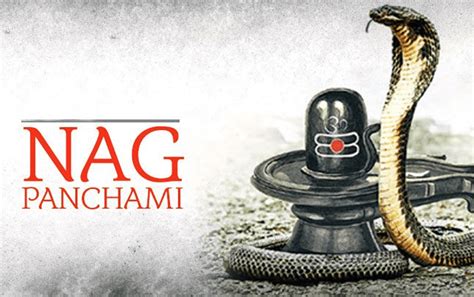 How to do Nag Panchami Puja