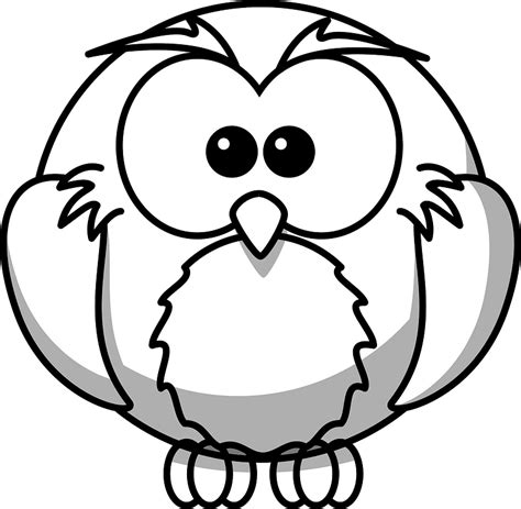 Cartoon owl - Black and White clipart. Free download transparent .PNG ...