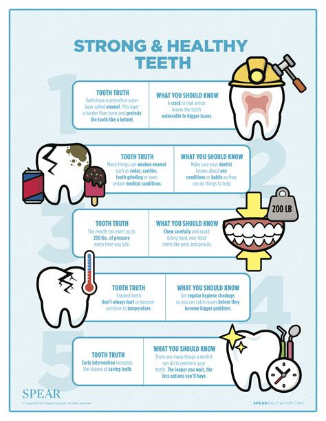 Strong and Healthy Teeth Infographic