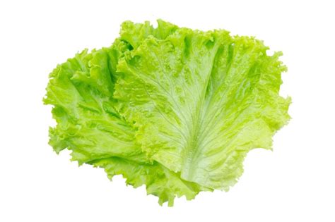 Types of Lettuce ⋆ 100 Days of Real Food