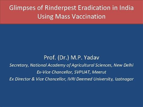 Glimpses of Rinderpest Eradication in India Using Mass