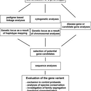 Strategies for the identification of gene mutations associated with ...