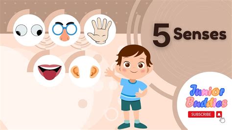 5 senses song for kids | Five Sense Organs For Kids | Preschool ...