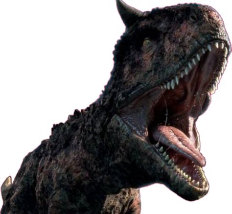 Toro The Carnotaurus en 2023 | Dinosaurios, Toros