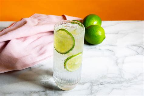 Top 2 Gin And Tonic Recipes