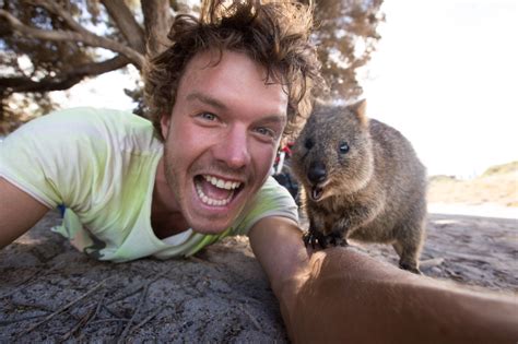 The 'Quokka Selfie'-Just Look At That Grin | Travels And Living